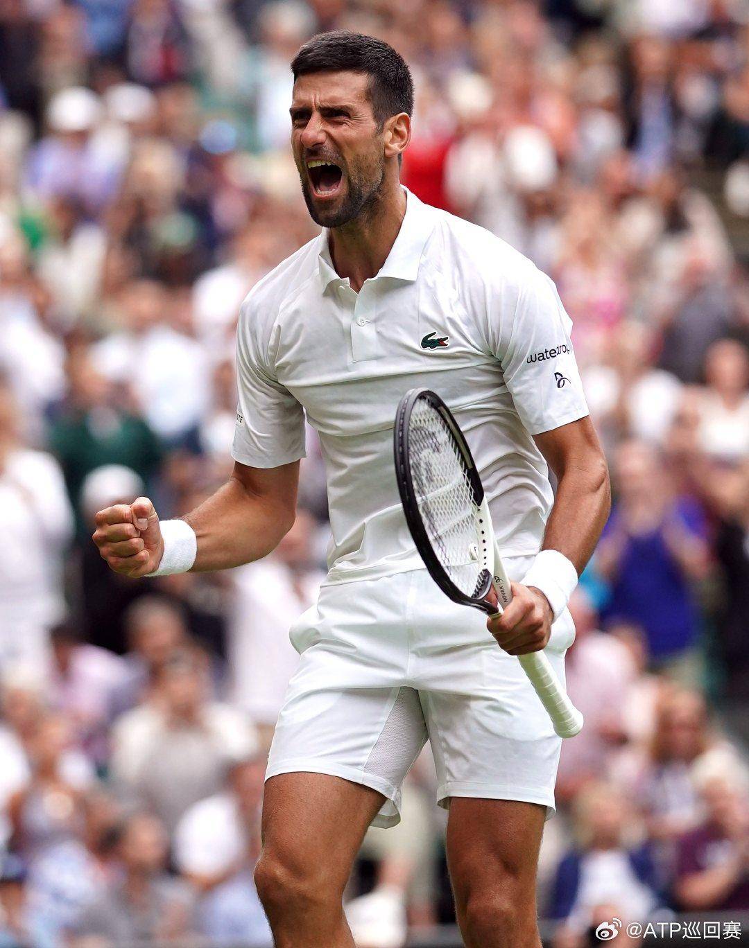 重要纽带 重要纽带