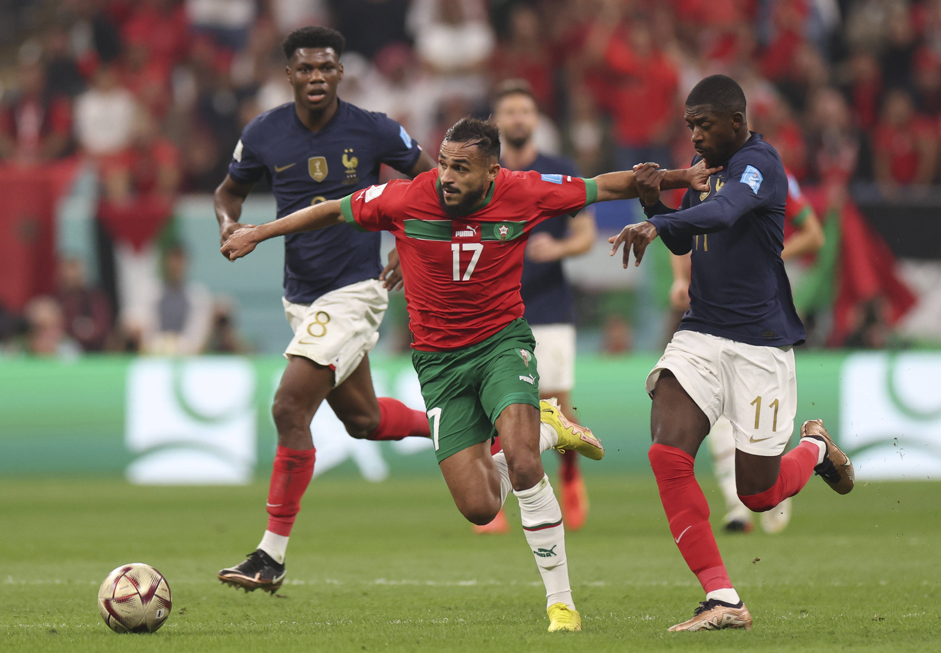 球拆解在萌 球拆解在萌